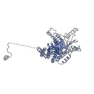 8948_6e0h_A_v1-2
PDB: afTMEM16 reconstituted in nanodiscs in the presence of Ca2+