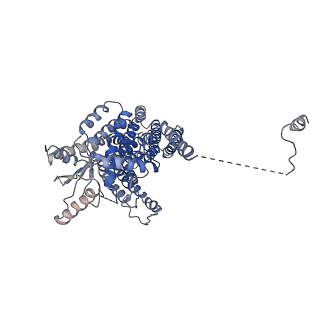 8948_6e0h_B_v1-1
PDB: afTMEM16 reconstituted in nanodiscs in the presence of Ca2+