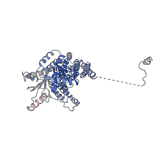 8948_6e0h_B_v1-2
PDB: afTMEM16 reconstituted in nanodiscs in the presence of Ca2+