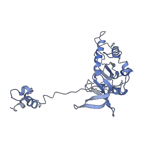 27823_8e14_A_v1-0
Cryo-EM structure of Rous sarcoma virus strand transfer complex