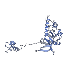 27823_8e14_A_v2-2
Cryo-EM structure of Rous sarcoma virus strand transfer complex