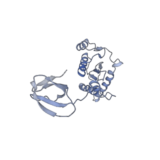 27823_8e14_B_v1-0
Cryo-EM structure of Rous sarcoma virus strand transfer complex