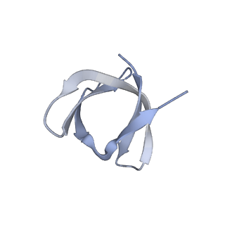 27823_8e14_C_v2-2
Cryo-EM structure of Rous sarcoma virus strand transfer complex