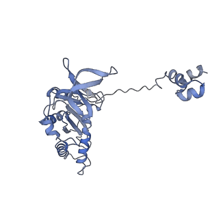 27823_8e14_E_v1-0
Cryo-EM structure of Rous sarcoma virus strand transfer complex