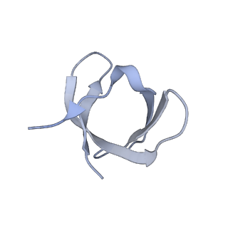 27823_8e14_G_v2-2
Cryo-EM structure of Rous sarcoma virus strand transfer complex