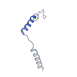 30936_7e14_G_v1-1
Compound2_GLP-1R_OWL833_Gs complex structure