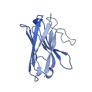 30936_7e14_N_v1-1
Compound2_GLP-1R_OWL833_Gs complex structure