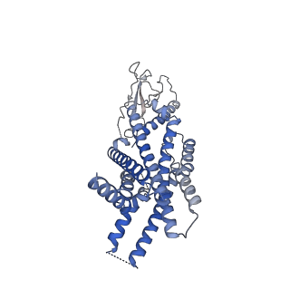 30936_7e14_R_v1-1
Compound2_GLP-1R_OWL833_Gs complex structure