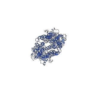 30938_7e1a_U_v1-2
Human bile salt exporter ABCB11 in complex with taurocholate