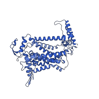 30943_7e1v_B_v1-2
Cryo-EM structure of apo hybrid respiratory supercomplex consisting of Mycobacterium tuberculosis complexIII and Mycobacterium smegmatis complexIV