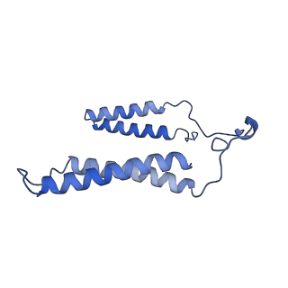 30943_7e1v_H_v1-2
Cryo-EM structure of apo hybrid respiratory supercomplex consisting of Mycobacterium tuberculosis complexIII and Mycobacterium smegmatis complexIV