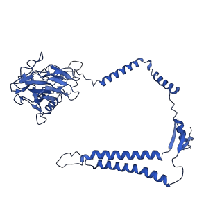 30943_7e1v_M_v1-2
Cryo-EM structure of apo hybrid respiratory supercomplex consisting of Mycobacterium tuberculosis complexIII and Mycobacterium smegmatis complexIV