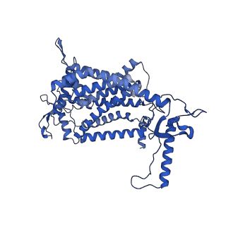 30943_7e1v_N_v1-2
Cryo-EM structure of apo hybrid respiratory supercomplex consisting of Mycobacterium tuberculosis complexIII and Mycobacterium smegmatis complexIV