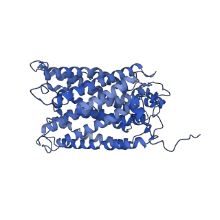 30943_7e1v_R_v1-2
Cryo-EM structure of apo hybrid respiratory supercomplex consisting of Mycobacterium tuberculosis complexIII and Mycobacterium smegmatis complexIV