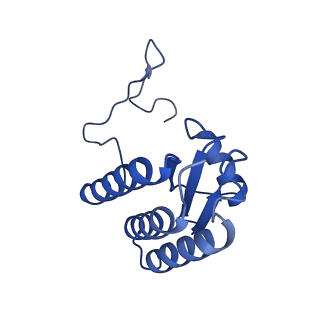 30943_7e1v_V_v1-2
Cryo-EM structure of apo hybrid respiratory supercomplex consisting of Mycobacterium tuberculosis complexIII and Mycobacterium smegmatis complexIV