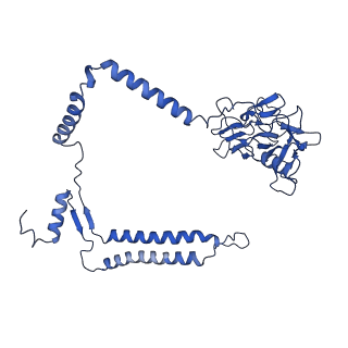 30944_7e1w_A_v1-2
Cryo-EM structure of hybrid respiratory supercomplex consisting of Mycobacterium tuberculosis complexIII and Mycobacterium smegmatis complexIV in the presence of Q203