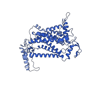 30944_7e1w_B_v1-2
Cryo-EM structure of hybrid respiratory supercomplex consisting of Mycobacterium tuberculosis complexIII and Mycobacterium smegmatis complexIV in the presence of Q203