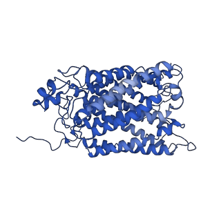 30944_7e1w_F_v1-2
Cryo-EM structure of hybrid respiratory supercomplex consisting of Mycobacterium tuberculosis complexIII and Mycobacterium smegmatis complexIV in the presence of Q203