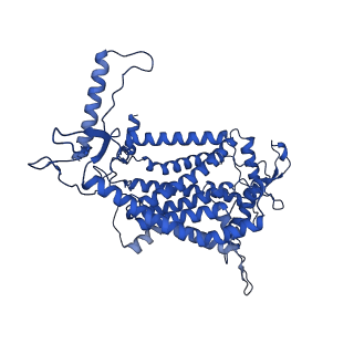 30944_7e1w_N_v1-2
Cryo-EM structure of hybrid respiratory supercomplex consisting of Mycobacterium tuberculosis complexIII and Mycobacterium smegmatis complexIV in the presence of Q203