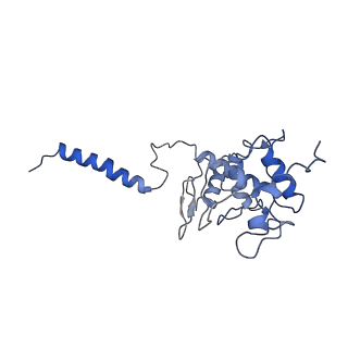 30944_7e1w_O_v1-2
Cryo-EM structure of hybrid respiratory supercomplex consisting of Mycobacterium tuberculosis complexIII and Mycobacterium smegmatis complexIV in the presence of Q203