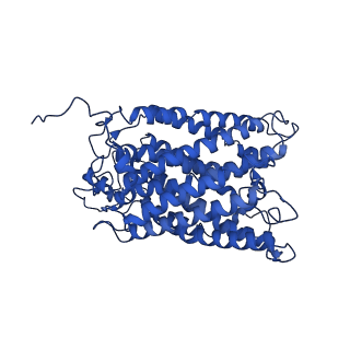 30944_7e1w_R_v1-2
Cryo-EM structure of hybrid respiratory supercomplex consisting of Mycobacterium tuberculosis complexIII and Mycobacterium smegmatis complexIV in the presence of Q203
