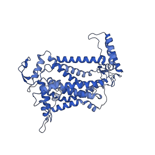 30945_7e1x_B_v1-2
Cryo-EM structure of hybrid respiratory supercomplex consisting of Mycobacterium tuberculosis complexIII and Mycobacterium smegmatis complexIV in presence of TB47