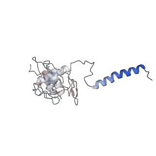 30945_7e1x_C_v1-2
Cryo-EM structure of hybrid respiratory supercomplex consisting of Mycobacterium tuberculosis complexIII and Mycobacterium smegmatis complexIV in presence of TB47