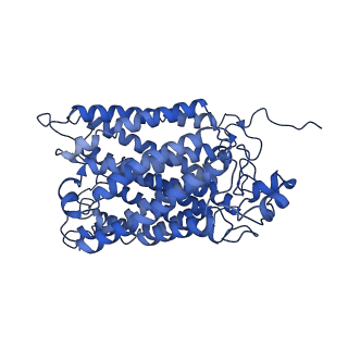 30945_7e1x_F_v1-2
Cryo-EM structure of hybrid respiratory supercomplex consisting of Mycobacterium tuberculosis complexIII and Mycobacterium smegmatis complexIV in presence of TB47