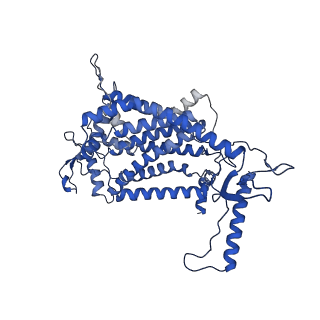 30945_7e1x_N_v1-2
Cryo-EM structure of hybrid respiratory supercomplex consisting of Mycobacterium tuberculosis complexIII and Mycobacterium smegmatis complexIV in presence of TB47