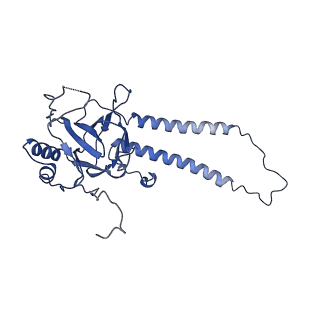 30945_7e1x_Q_v1-2
Cryo-EM structure of hybrid respiratory supercomplex consisting of Mycobacterium tuberculosis complexIII and Mycobacterium smegmatis complexIV in presence of TB47