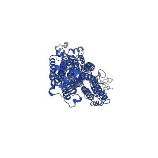 30947_7e1z_A_v1-1
Cryo EM structure of a Na+-bound Na+,K+-ATPase in the E1 state
