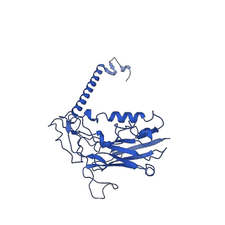 30947_7e1z_B_v1-1
Cryo EM structure of a Na+-bound Na+,K+-ATPase in the E1 state