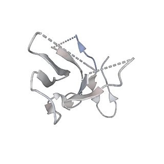8956_6e1k_C_v1-2
Structure of AtTPC1(DDE) reconstituted in saposin A with cat06 Fab