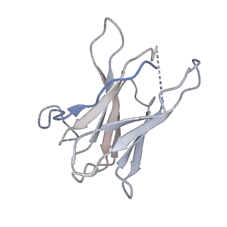 8956_6e1k_D_v1-2
Structure of AtTPC1(DDE) reconstituted in saposin A with cat06 Fab