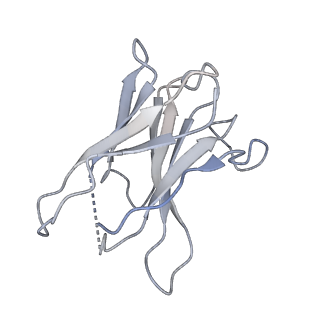 8956_6e1k_F_v1-2
Structure of AtTPC1(DDE) reconstituted in saposin A with cat06 Fab