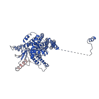 8959_6e1o_A_v1-2
afTMEM16 reconstituted in nanodiscs in the presence of Ca2+ and ceramide 24:0