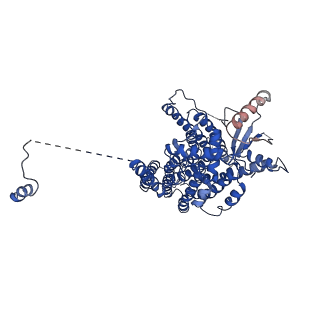 8959_6e1o_B_v1-2
afTMEM16 reconstituted in nanodiscs in the presence of Ca2+ and ceramide 24:0