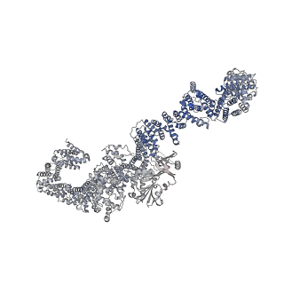 27826_8e20_A_v1-0
Cryo-EM structure of the full-length human NF1 dimer