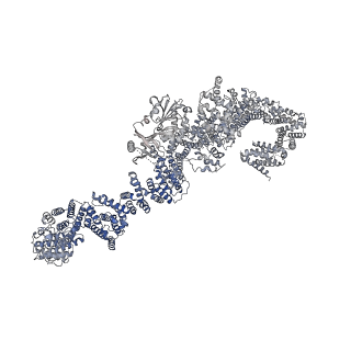 27826_8e20_B_v1-0
Cryo-EM structure of the full-length human NF1 dimer