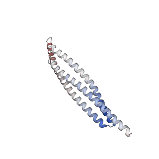 27838_8e2j_A_v1-2
Cryo-EM structure of BIRC6/Smac (from local refinement 1)
