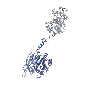 27842_8e2l_B_v1-2
Structure of Lates calcarifer Twinkle helicase with ATP and DNA