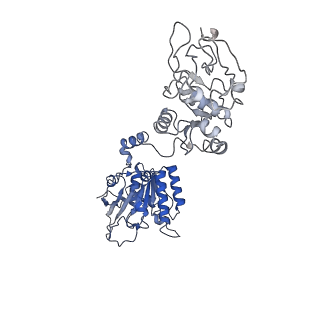 27842_8e2l_C_v1-2
Structure of Lates calcarifer Twinkle helicase with ATP and DNA