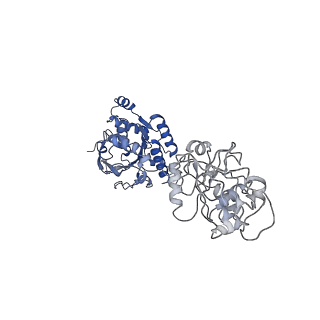 27842_8e2l_D_v1-2
Structure of Lates calcarifer Twinkle helicase with ATP and DNA