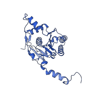 27842_8e2l_E_v1-2
Structure of Lates calcarifer Twinkle helicase with ATP and DNA