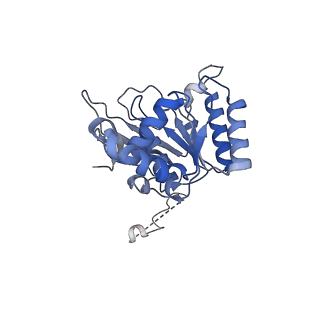 27842_8e2l_F_v1-2
Structure of Lates calcarifer Twinkle helicase with ATP and DNA