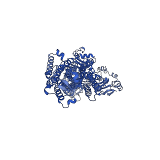 30948_7e20_A_v1-1
Cryo EM structure of a K+-bound Na+,K+-ATPase in the E2 state