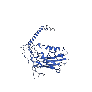 30948_7e20_B_v1-1
Cryo EM structure of a K+-bound Na+,K+-ATPase in the E2 state