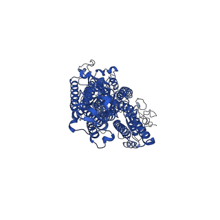 30949_7e21_A_v1-1
Cryo EM structure of a Na+-bound Na+,K+-ATPase in the E1 state with ATP-gamma-S