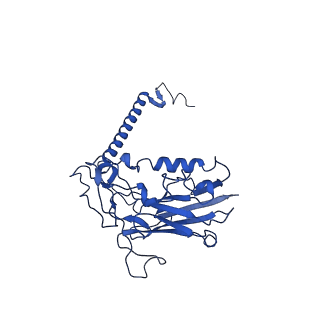 30949_7e21_B_v1-1
Cryo EM structure of a Na+-bound Na+,K+-ATPase in the E1 state with ATP-gamma-S