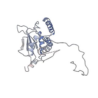 30954_7e2c_G_v1-1
Monomer of TRAPPII (open)